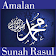 Amalan Sunah Rasul icon