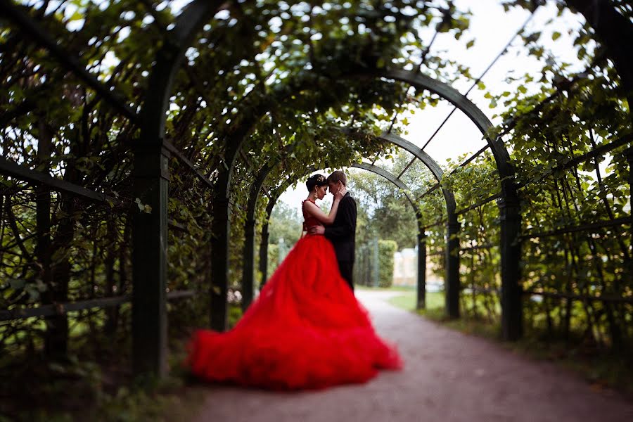 Wedding photographer Anastasiya Beloglazova (abeloglazova). Photo of 8 November 2014