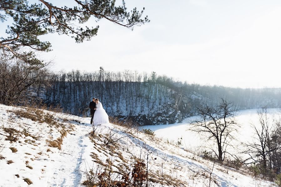 Hochzeitsfotograf Denis Konstantinov (380960170930). Foto vom 21. Februar 2018