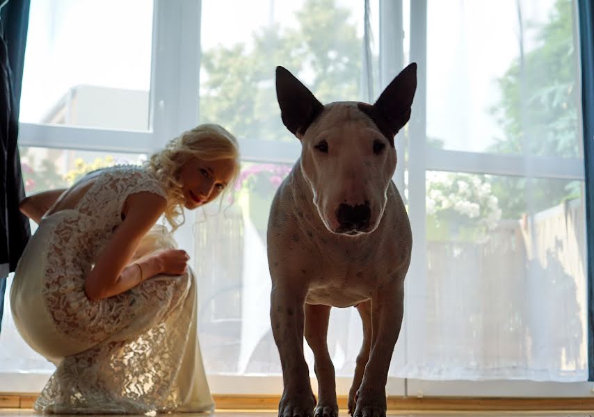 Fotografo di matrimoni Marcin Żurek (fotograf48h). Foto del 22 novembre 2017