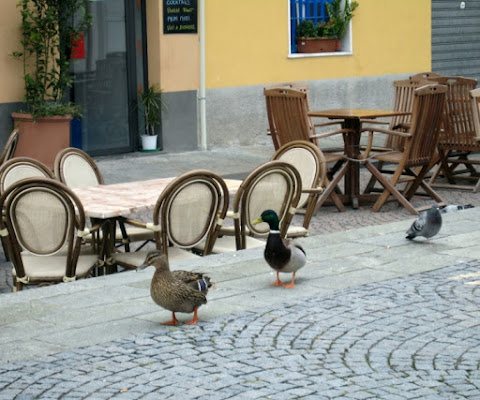 Andiamo a prenderci un caffè? di Piera