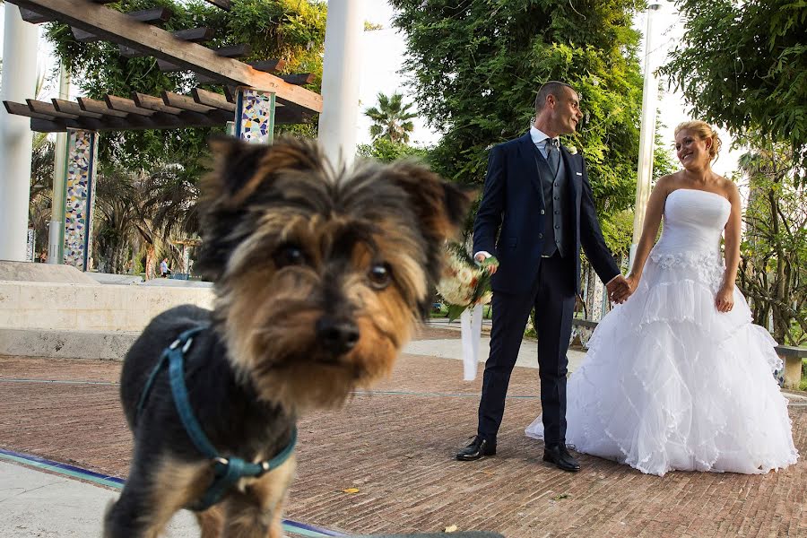 शादी का फोटोग्राफर Armando Fortunato (fortunato)। अप्रैल 16 2015 का फोटो