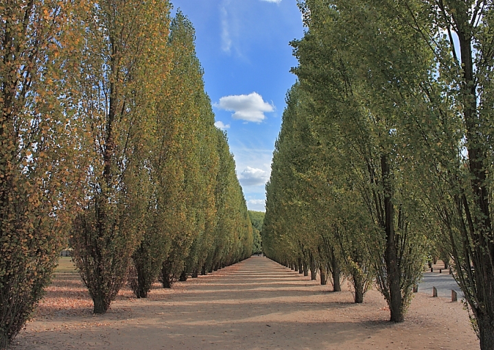 Versailles di Alessandro Remorini