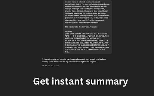 YouTube AI Summary & Translate Preview 3