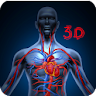 Basic human anatomy 3D videos icon