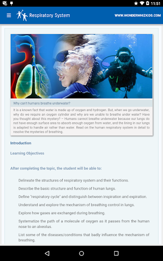 Respiratory System