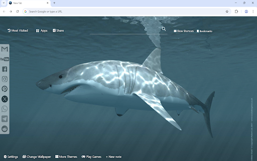 Shark Wallpaper screenshot 1