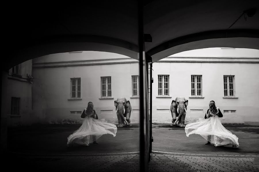 Wedding photographer Pavel Erofeev (erofeev). Photo of 21 February 2019