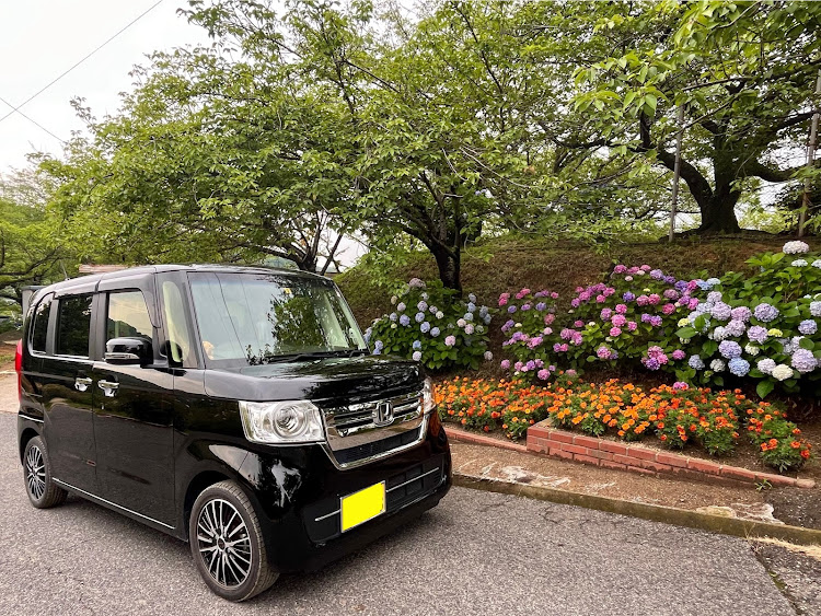 Nボックスのいつもいいね＆コメントありがとうございます🥰・紫陽花と愛車・スィーツ・お散歩に関するカスタム事例の投稿画像15枚目