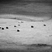 Il contadino in montagna (minimal) di 