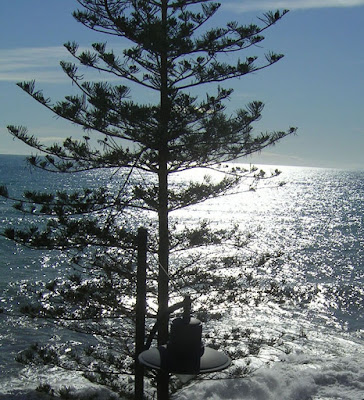 SUL MARE LUCCICA di nrmo