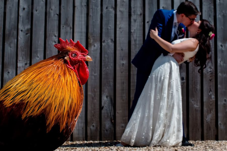 Wedding photographer Richard Howman (richhowman). Photo of 17 July 2018