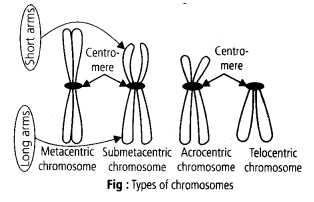 Solution Image