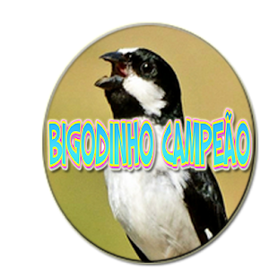 BIGODINHO CAMPEÃO - náhled