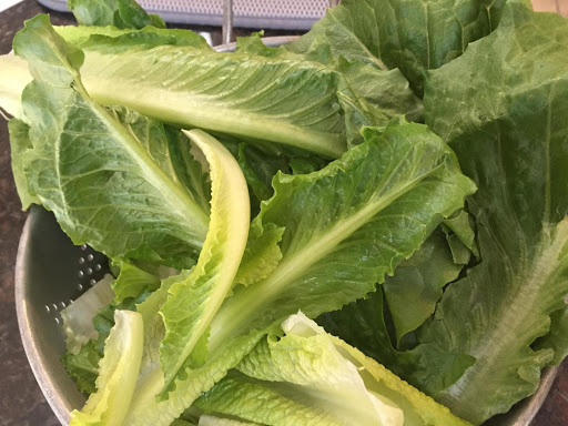 The beginning of a Great salad is fresh washed and dried romaine lettuce