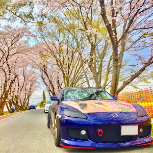 RX-8 SE3P