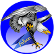 Download Falcon Browser Super Fast & High Speed Browser ! For PC Windows and Mac 1.0