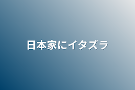 日本家にイタズラ