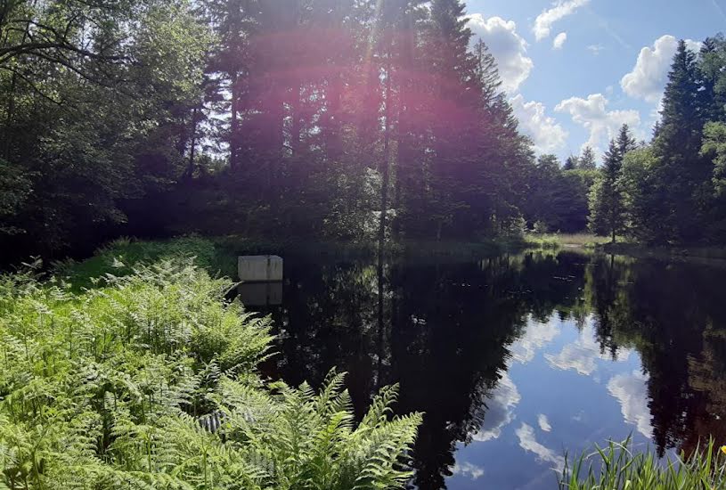  Vente Terrain à bâtir - à Faucogney-et-la-Mer (70310) 