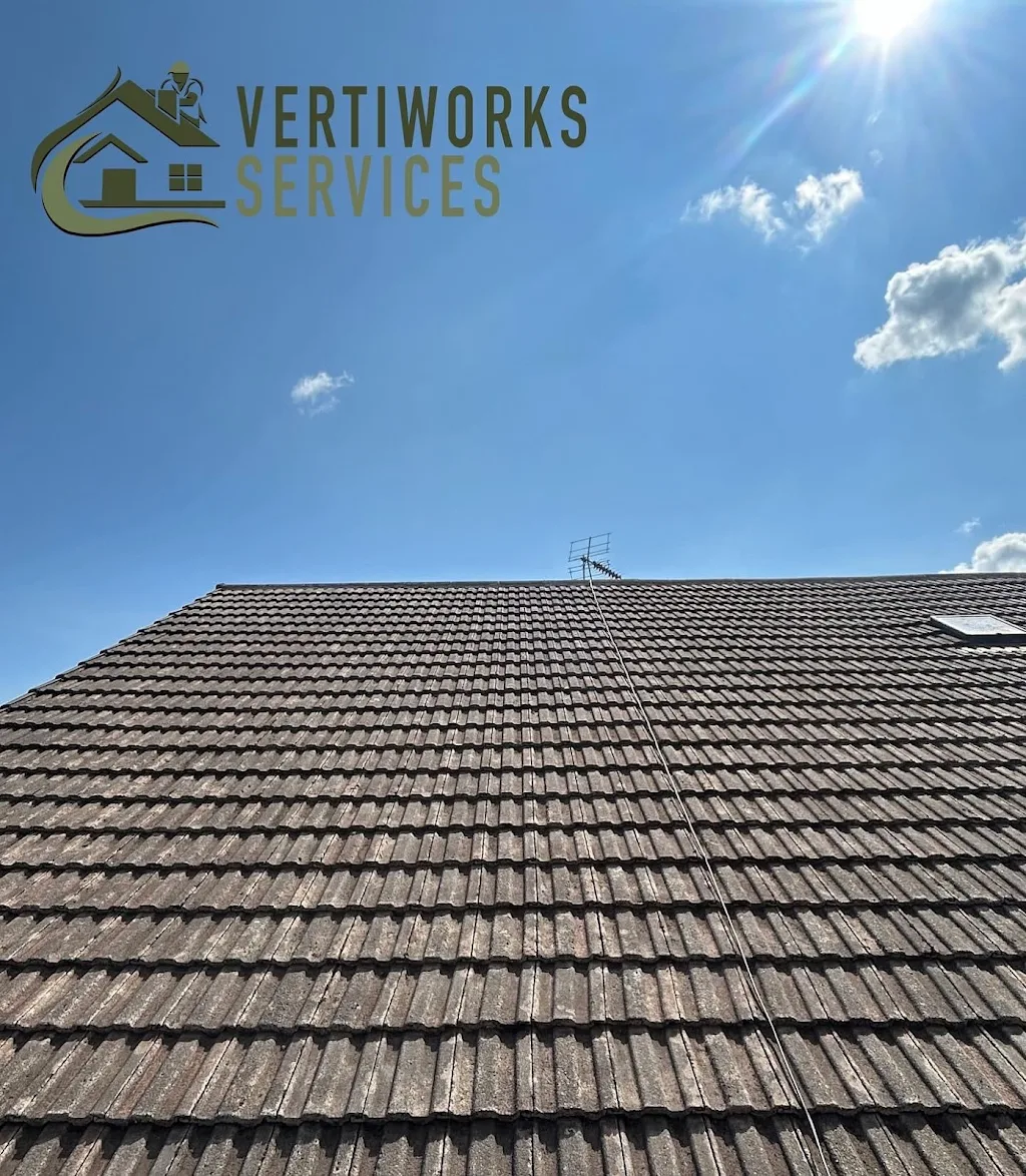 Album cover: Roof cleaning 