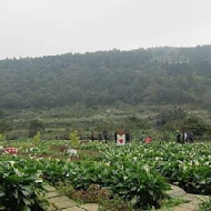 【竹子湖】苗榜花園餐廳