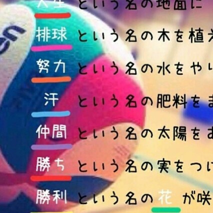 はやと
