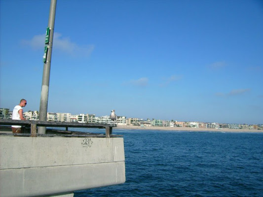 Venice Beach - Los Angeles di pakdrak