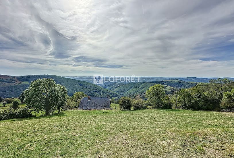  Vente Terrain à bâtir - 4 437m² à Saint-Geniez-d'Olt (12130) 