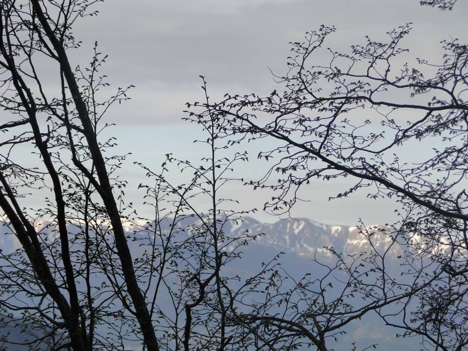 Appenino  di vince2ma