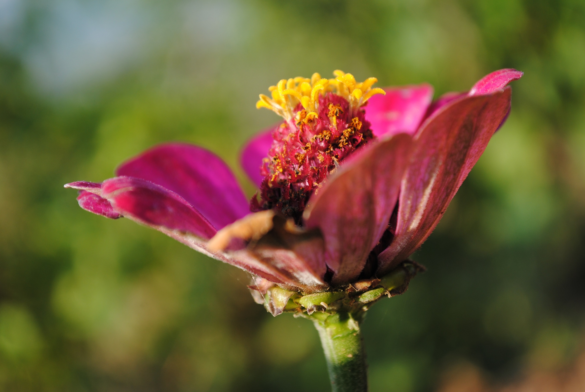 Small part of nature... di utente cancellato