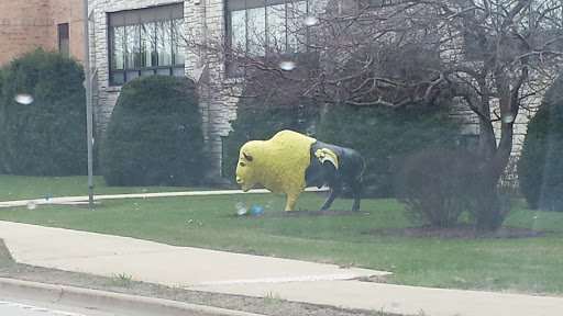 Buffalo Statue