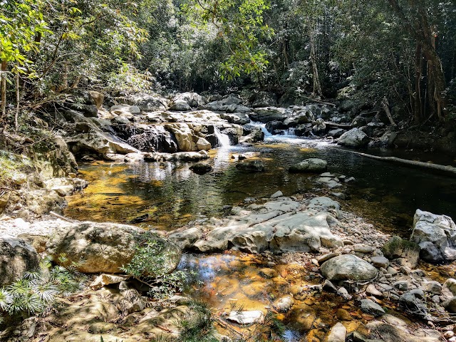 Mount Tahan Kuala Luis