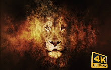 Lion Wallpaper HD Custom New Tab small promo image