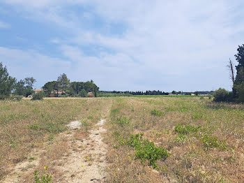 terrain à Domazan (30)