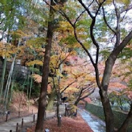 【雲林】喜相逢餐廳