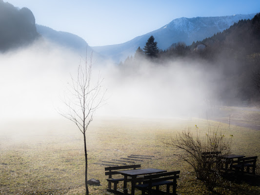 Picnic deserto di danchi46