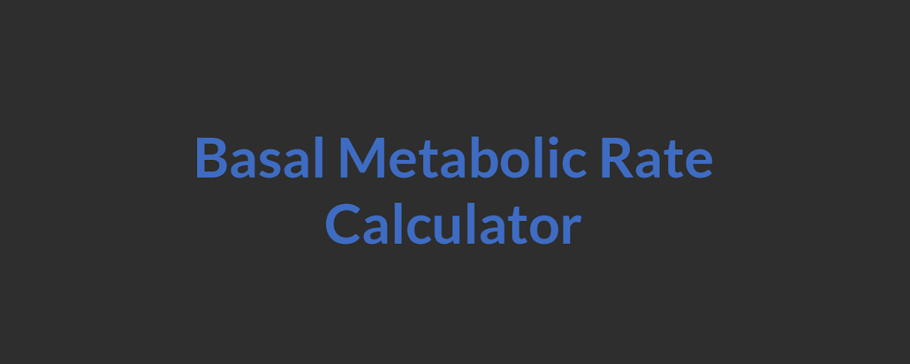 Basal Metabolic Rate (BMR) Calculator Preview image 2