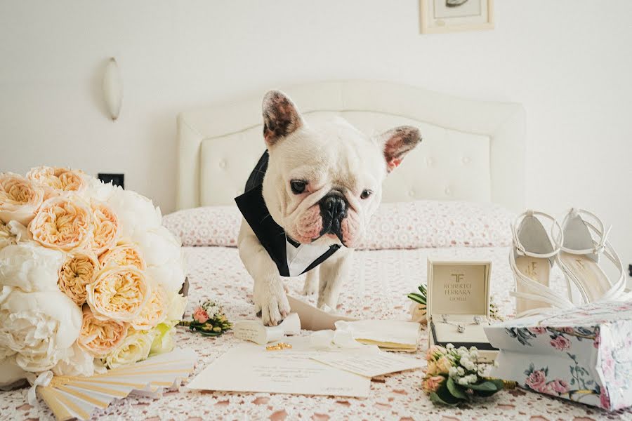 Fotografo di matrimoni Carmelo Ucchino (carmeloucchino). Foto del 17 gennaio