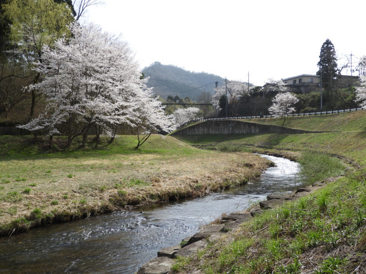 86のふるさとの川公園に関するカスタム事例の投稿画像3枚目
