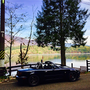 ロードスター NA8C