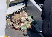 Abalone was recovered from the alleged poachers' boat after it was pulled out of the sea at Cape Town harbour on February 27 2020.