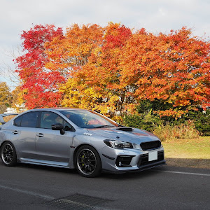 WRX STI VAB