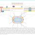 Enterobacter In Stool Culture