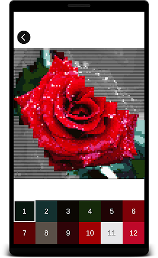 Color By Number Flowers Pixel Art Game