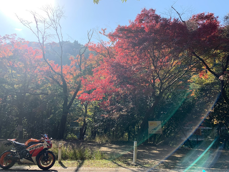 その他のSC59後期・レプソル・ツーリング・紅葉・京都に関するカスタム事例の投稿画像16枚目
