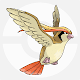 pidgeot