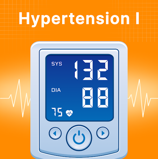 Screenshot Blood Pressure Checker Diary