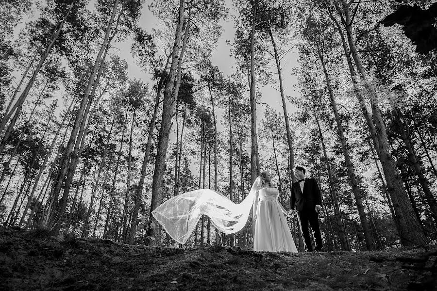 結婚式の写真家Luca Sapienza (lucasapienza)。2019 11月20日の写真