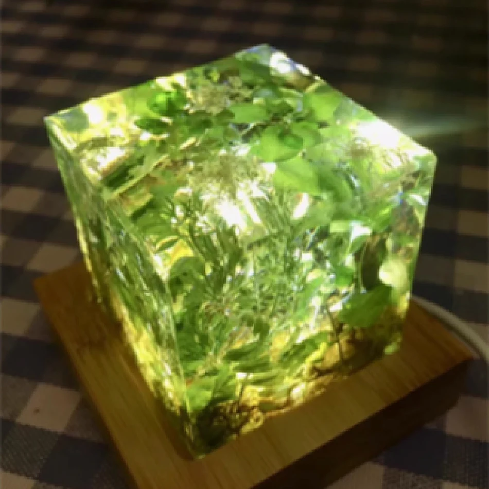 Groene Grass Cube vol weelderige planten, drip gum en gedroogde bloemen. Breng de natuur in huis en geniet.