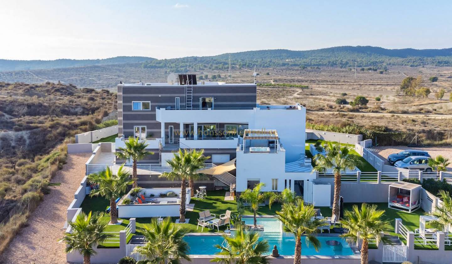 Villa with pool Orihuela